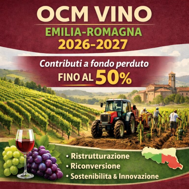 Con il bando OCM Vino Emilia-Romagna 2026-2027 le aziende vinicole possono ottenere contributi a fondo perduto fino al 50% per ristrutturare e riconvertire i vigneti, valorizzando la qualità dei vini DOC e IGP, adottando pratiche sostenibili e innovative e aumentando la competitività sui mercati nazionali e internazionali.