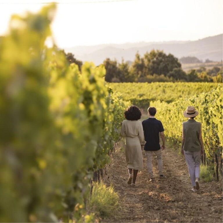 delegazione brasiliana degustazione vini italiani in toscana incontro cantina mercato aereo